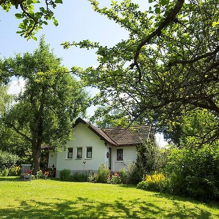 Ferienhaus Am Alten Bahndamm Waldsassen Exterior photo